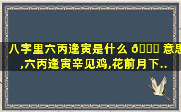 八字里六丙逢寅是什么 🐞 意思,六丙逢寅辛见鸡,花前月下......